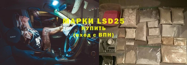 прущий лед Богданович
