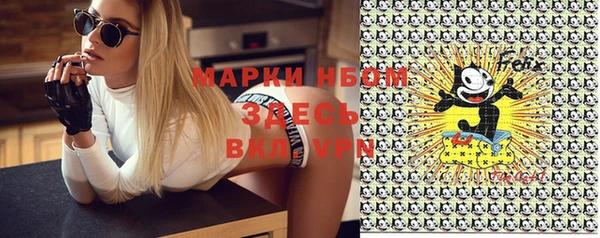 прущий лед Богданович