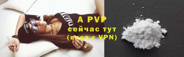 прущий лед Богданович