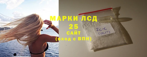 прущие грибы Инта