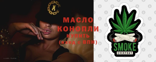 прущий лед Богданович