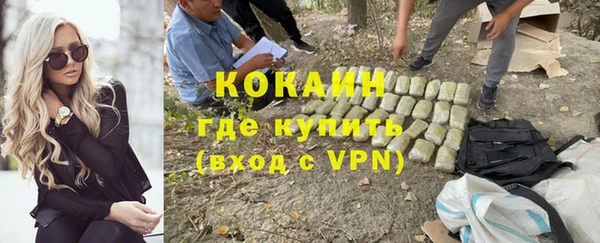 прущий лед Богданович