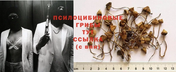прущий лед Богданович