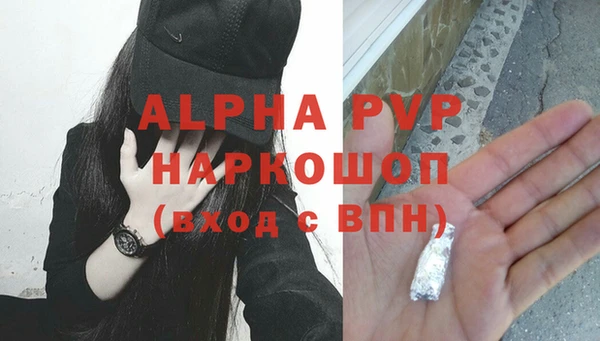 прущий лед Богданович