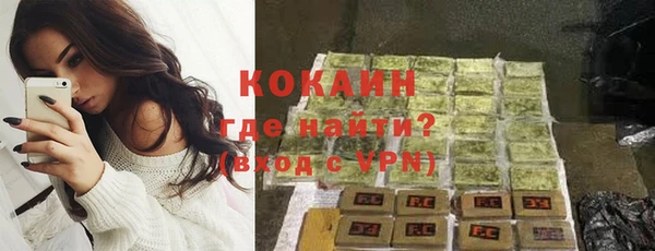 прущий лед Богданович