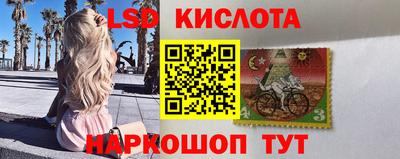 Альфа ПВП Заволжье