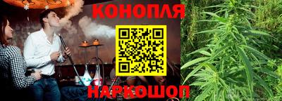 дживик Жуковский